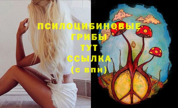 прущий лед Сафоново