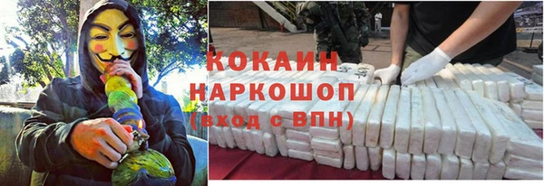 стаф Кукмор