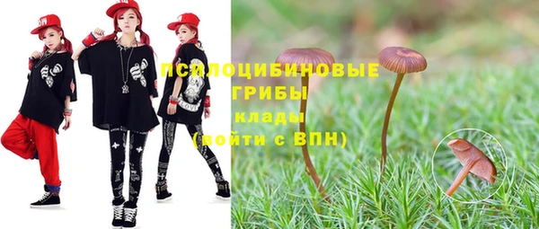 стаф Кукмор