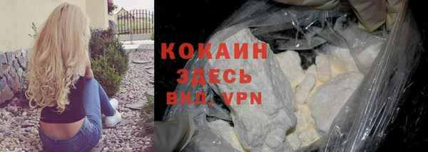 стаф Кукмор