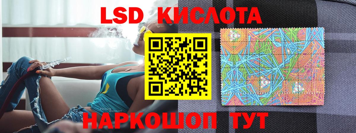 МЕФ Пятигорск
