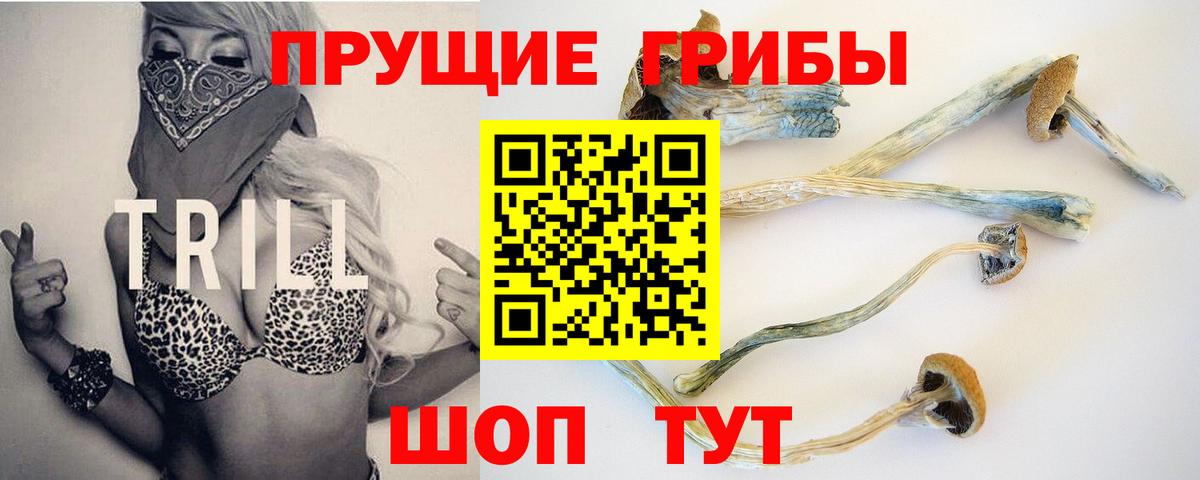 Псилоцибиновые грибы ЛСД  Вход с VPN  Пятигорск  Галлюциногенные грибы мухоморы 